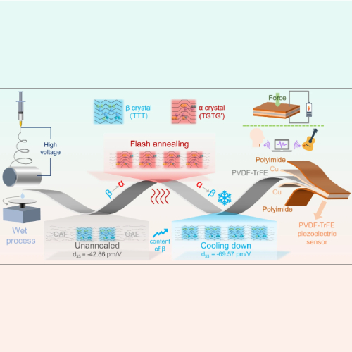 Flash annealing boosts piezoelectricity of PVDF-TrFE
